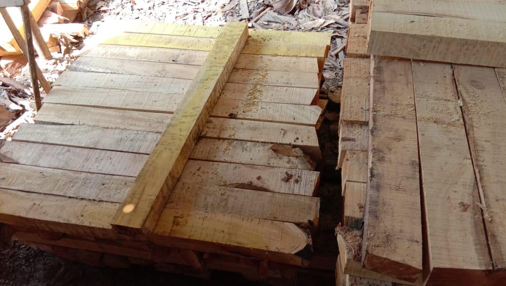 Raw Timber & Industrial Lumber view 1