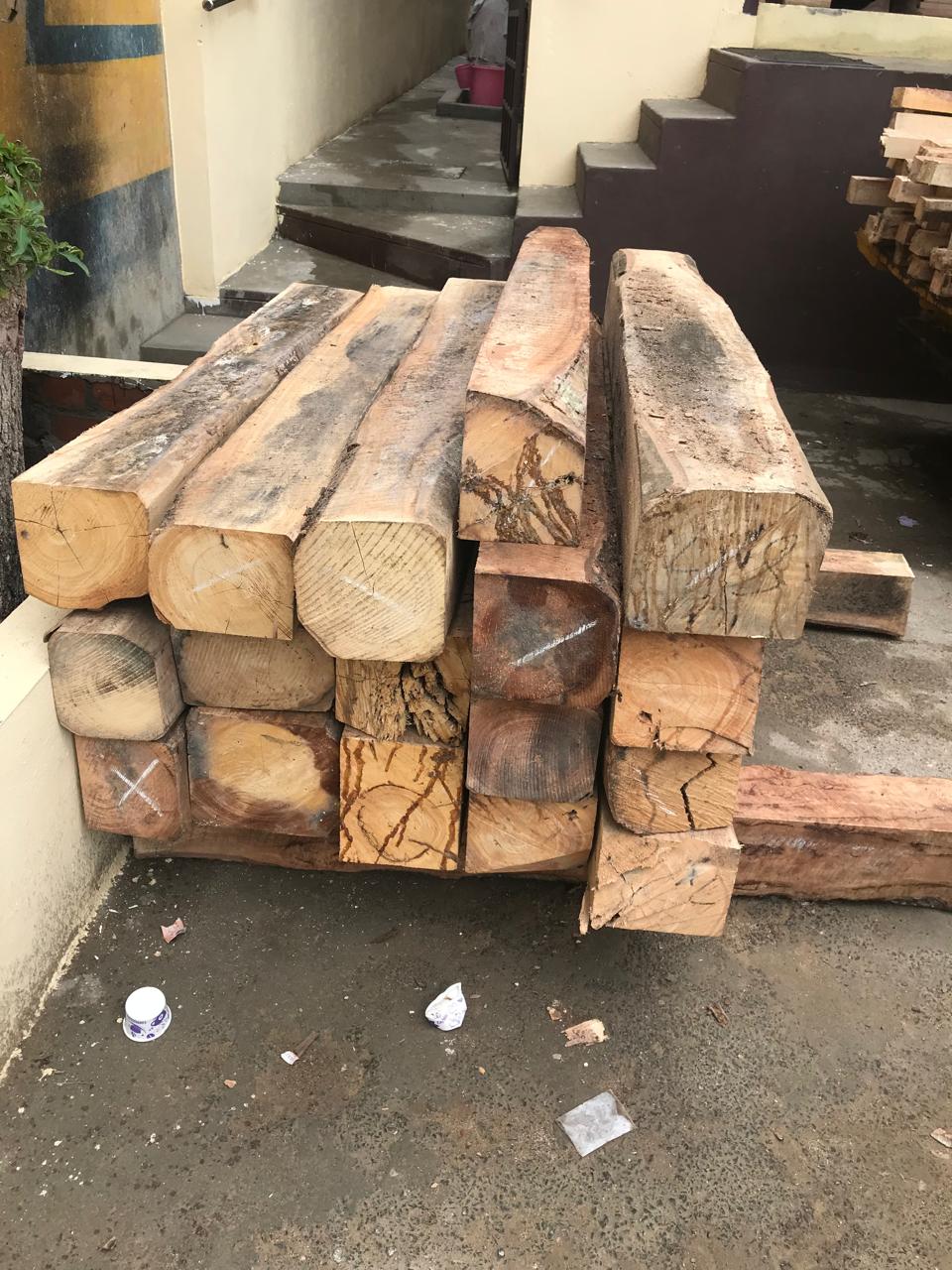 Raw Timber & Industrial Lumber view 5